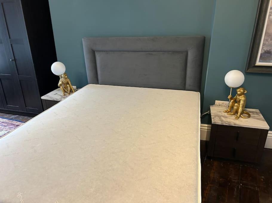 科克Patrick Street Townhouse公寓 外观 照片